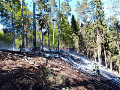 Waldbrand im Meulenwald