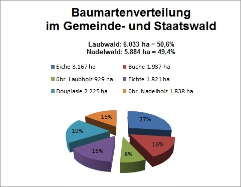 Baumartenverteilung im Gemeinde und Staaswald: Eiche 27 %, Douglasie 19 %, Buche 16 %, Fichte 15 %, übriges Nadelholz 15 %, übriges Laubholz 8 %