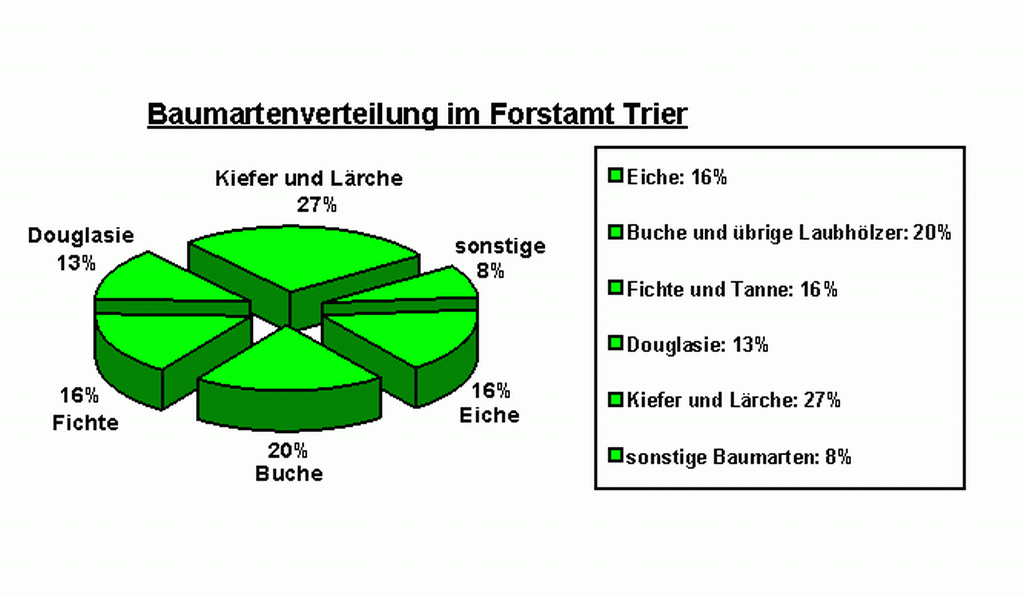 Baumarten im Forstamt Trier: 16 % Eiche, 20 % Buche und übrige Laubhölzer, 16 % Fichte und Tanne, 13 % Douglasie, 27 % Kiefer und Lärche, 8 % sonstige Baumarten