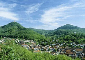 Trifelswald
