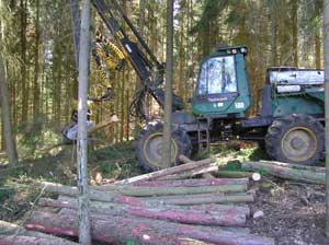 Die Nutzung dient dem Bestand, dem Waldbesitzer und der Industrie