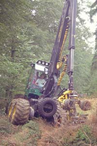 Um ökologisch und ökonomisch Forstwirtschaft betreiben zu können sind Maschinen notwendig