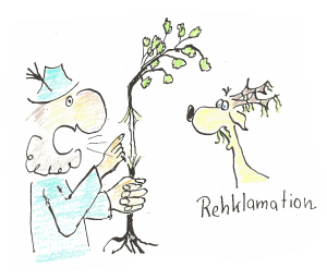 Zeichnung Rehklamation: Förster reklamiert eine gefegte Pflanze bei einem Rehbock