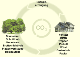 Der Gesamtkreislauf der heute schon zukunftsfähigen Holznutzung und Verwendung entspricht dem Kohlendioxid-Kreislauf.