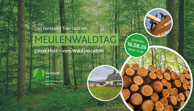 Staatssekretärin Dr. Kristina Brixius eröffnet Meulenwaldtag in Trier