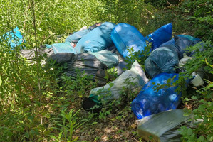 Illegale Müllablagerung im Wald