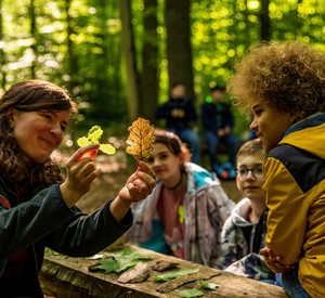 Das Bild zeigt eine Waldpädagogin, die Kindern erklärt, wie sie Baumarten anhand ihrer Blätter unterscheiden können.