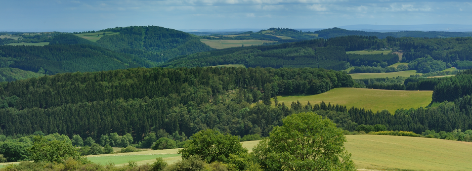 Die Grafik zeigt: Blick von Neunkirchen über die Eifel