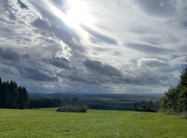 Das Bild zeigt: Blick übers Moseltal auf die Osteifel