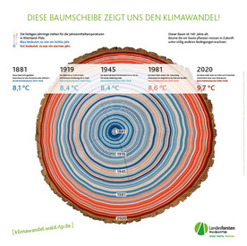 Klimawandel auf einer Baumscheibe dargestellt