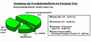 Waldfläche im Forstamt Trier: 51 % Gemeindewald, 32 % Privatwald, 14 % Staatswald und 3 % andere Körperschaften