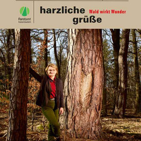 Plakat Harz wirkt Wunder
