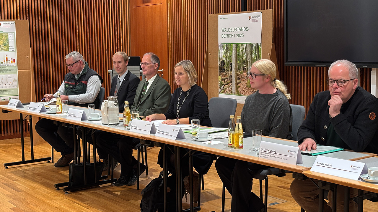 Das Bild zeigt, wie Klimaschutzministerin Katrin Eder den Waldzustandsbericht 2025 auf einer Pressekonferenz vorstellt.