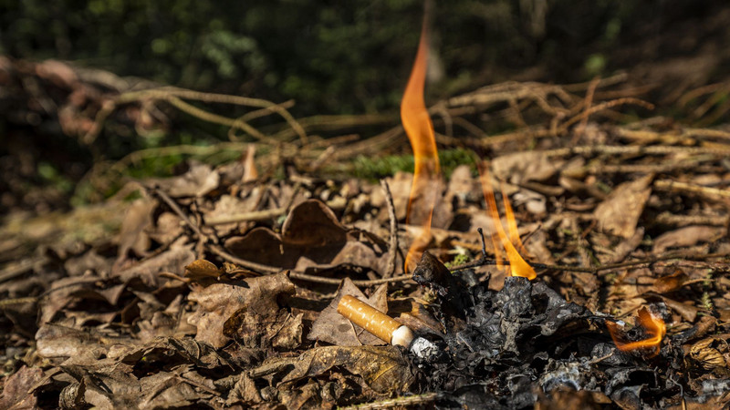 Das Bild zeigt einen durch eine weggeworfene Zigarettenkippe entstehenden Waldbrand