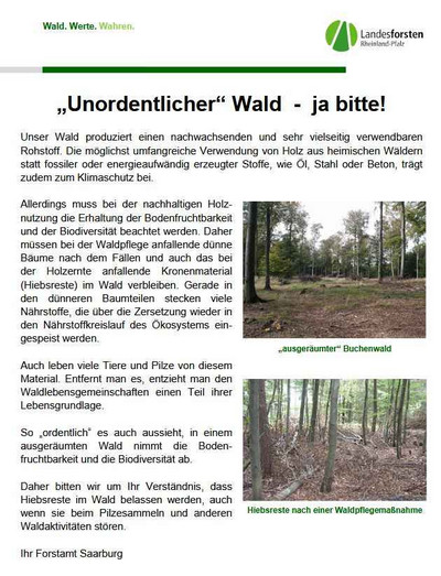 Wenn Sie dieses Bild anklicken. öffnen Sie ein PDF-Dokument.