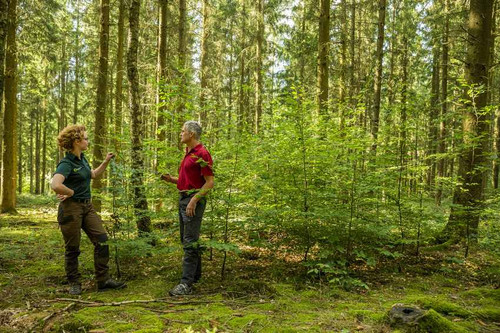 Das Bild zeigt Menschen im Wald