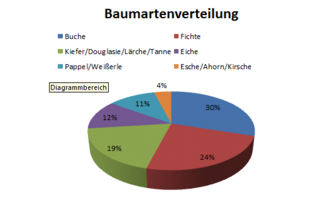 Kuchendiagramm mit der Baumartenverteilung im Forstrevier HWG-Wald Das Bild zeigt: Baumartenverteilung HWG-Wald (30% Buche, 24% Fichte, 19% Kiefer, 12% Eiche, 11% Pappel, 4% Esche, Ahorn und Kirsche)