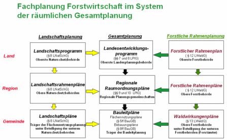 Grafik zur Fachplanung Forstwirtschaft im System der räumlichen Gesamtplanung