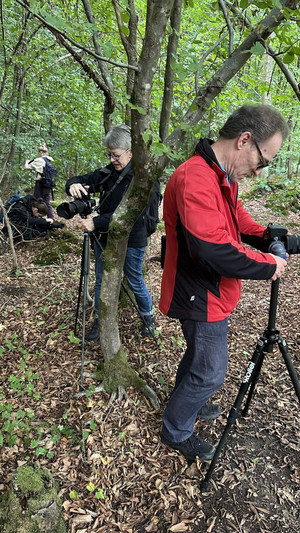 Menschen stehen mit ihren Kameras im Wald und sind vertieft in die Fotografie. Niemand achtet auf die Fotografin des Bildes