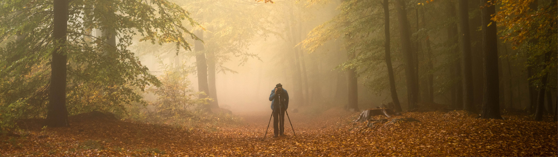 Das Bild zeigt: Person steht in einem nebeligen Wald und fotografiert mit einer Kamera auf einem Stativ. 