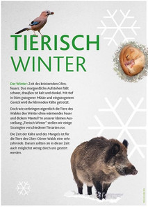 Poster der Ausstellung Tierisch Winter
