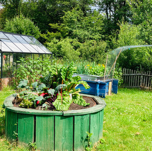 Im Nutzgarten Das Bild zeigt: Im Nutzgarten