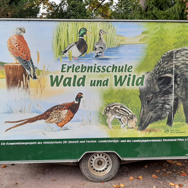 Erlebnisschule Wald und Wild