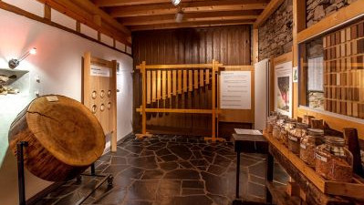 Blick ins Innere des Hunsrücker Holzmuseums. Links eine große Holzscheibe mit Jahresringen, in der Mitte ein Holzxylophon, rechts an der Wand eine Sammlung verschiedener Holzarten in Klötzchenform