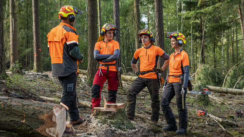 Ausbildung
