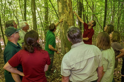 Das Bild zeigt eine Gruppe von Waldbesuchern bei einer Exkursion
