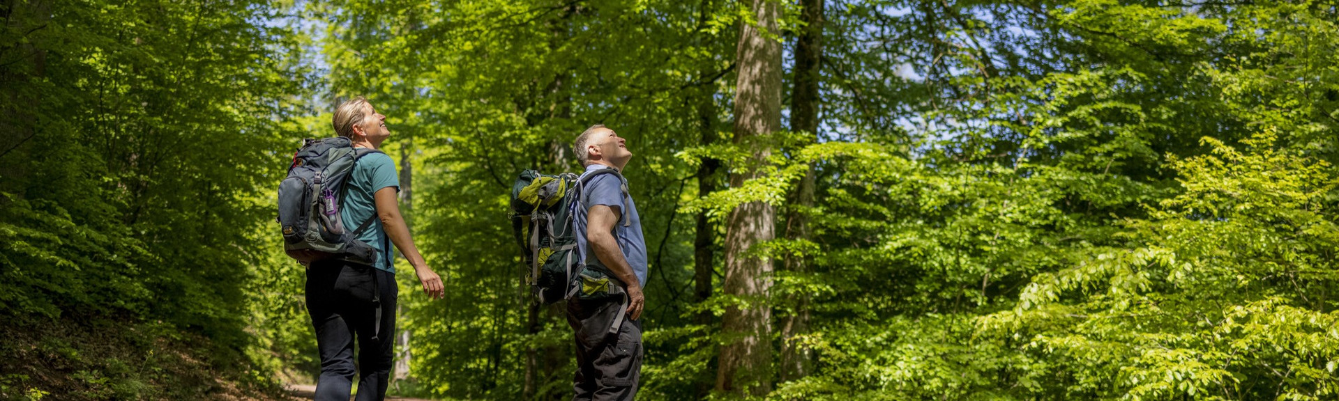 Wanderer schauen sich im grünen Wald um