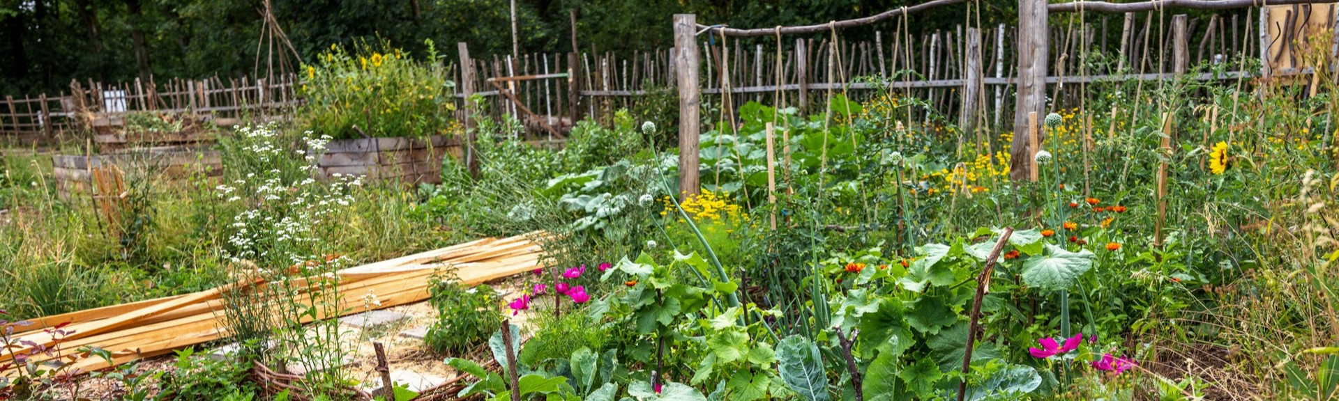 Lehr-Garten Lehr-Garten mit bunten Blumen und naturbelassenen Zäunen