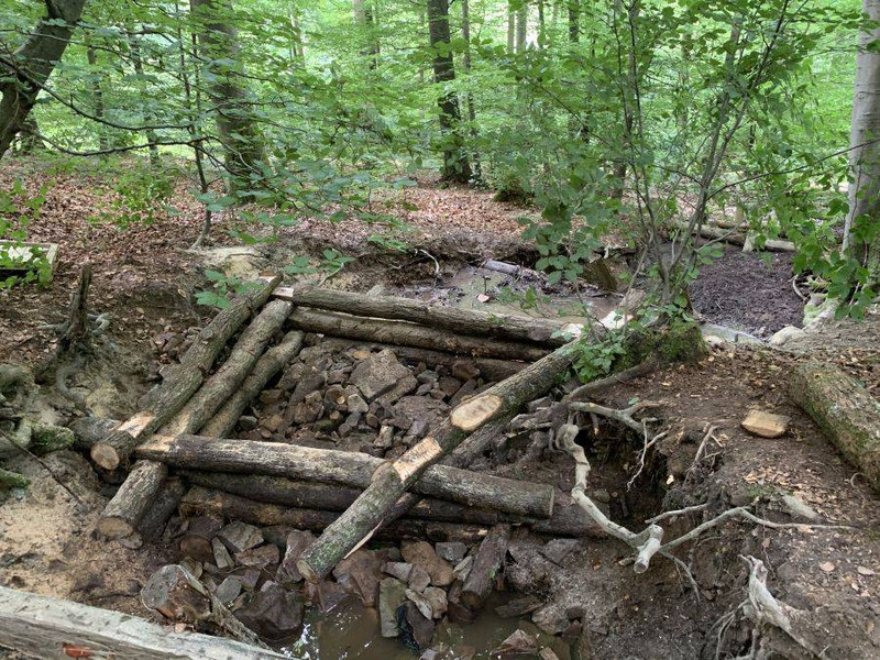Das Bild zeigt Holzkonstruktionen aus Eichenstämmen sind in hangabwärtslaufende Wasserrinnen im Wald verbaut.