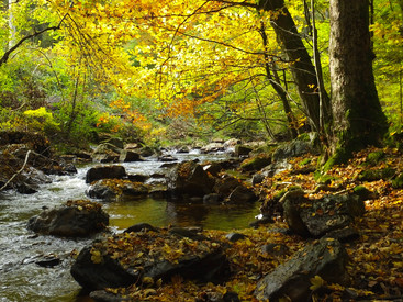 landschaft Das Bild zeigt eine Landschaft