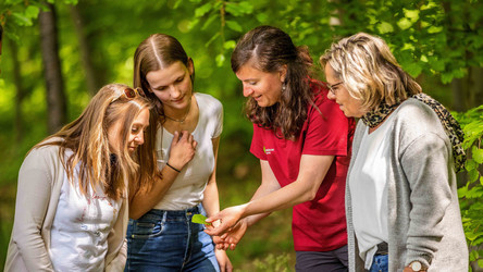 Das Bild zeigt: Umweltbildung mit Jugendlichen