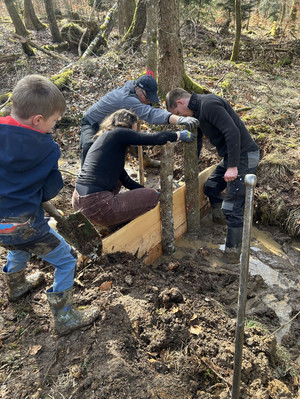 Das Bild zeigt: Die Teilnehmenden bauen mit vereinten Kräften eine Spundwand aus Lärchenholz. 