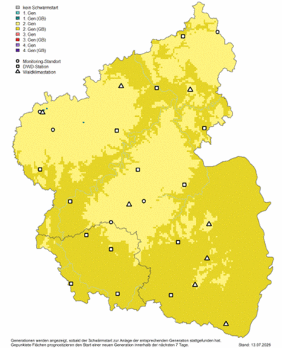 Die Karte basiert auf dem Borkenkäfer-Entwicklungsmodell PHENIPS-Clim der FVA Baden-Württemberg. Diese Rasterkarte stellt modellhaft den aktuellen Entwicklungszustand der Buchdrucker landesweit dar.