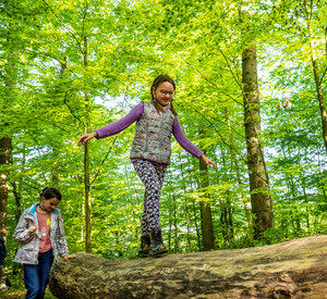 Waldpädagogik Kinder balancieren im sommerlichen Wald auf einem Baumstamm.