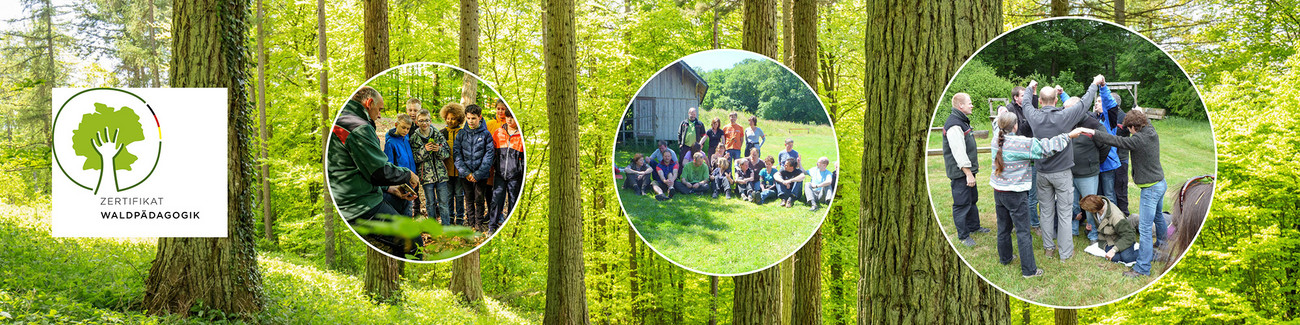 Zertifikat Waldpädagogik Das Bild zeigt: Zertifikat Waldpädagogik