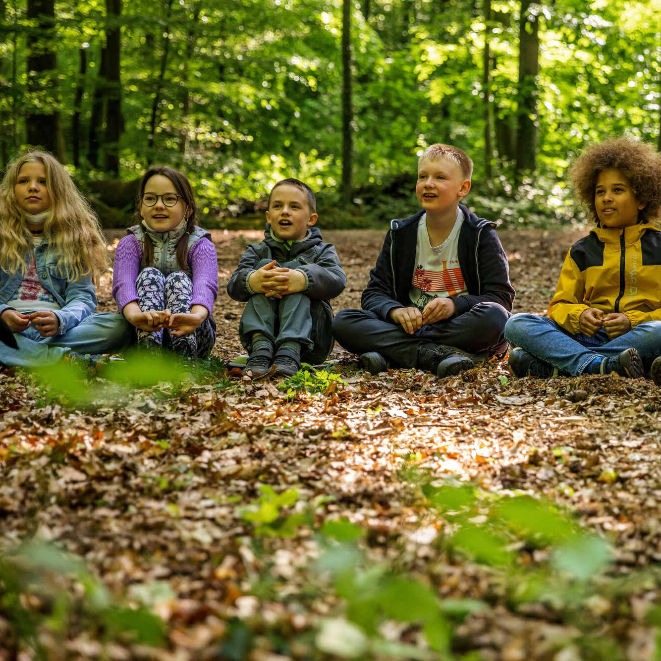 Umweltbildung im Wald Kinder im Grundschulalter sitzen aufmerksam im Wald bei einem Umweltbildungsprogramm