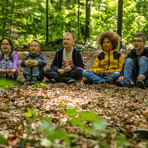 Umweltbildung im Wald Kinder im Grundschulalter sitzen aufmerksam im Wald bei einem Umweltbildungsprogramm