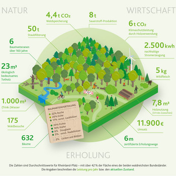 Leistungen des Waldes auf 100x100 Meter (das ist ein Hektar)