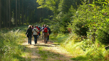 Das Bild zeigt: Wanderung durch den Wald mit mehreren Personen