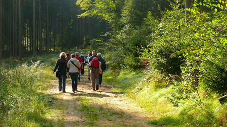 Wanderung durch den Wald mit mehreren Personen Das Bild zeigt: Wanderung durch den Wald mit mehreren Personen