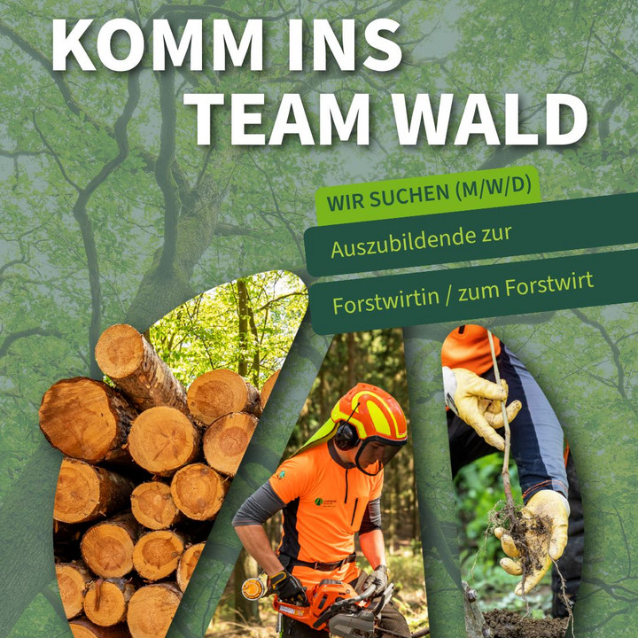 Komm ins Team Wald