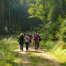 Wanderung durch den Wald mit mehreren Personen