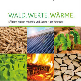 Wald Werte Wärme - Effizient heizen mit Holz und Sonne!  Ein Ratgeber zu klima- und umweltbewußtem Handeln! 