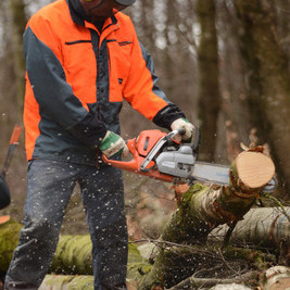 Das Bild zeigt: Aufarbeitung von liegendem Brennholz