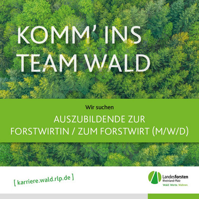 Das Bild zeigt einen Aufruf zur Bewerbung um einen Ausbildungsplatz.