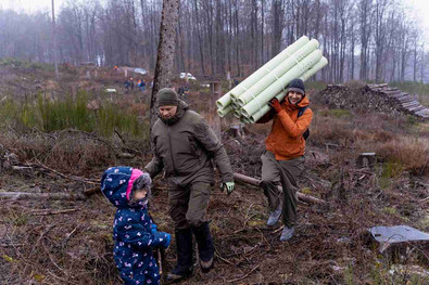 Das Bild zeigt einen Mann, der lachend Tubexröhren durch den Wald trägt und einem weiteren Mann und einem Kind zur Pflanzfläche folgt Das Bild zeigt einen Mann, der lachend Tubexröhren durch den Wald trägt und einem weiteren Mann und einem Kind zur Pflanzfläche folgt